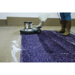 Dịch vụ giặt thảm lông